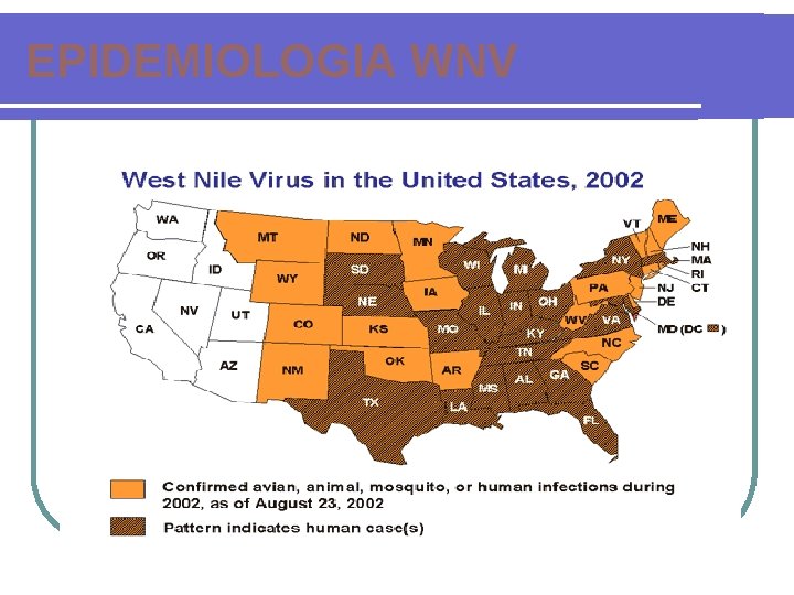 EPIDEMIOLOGIA WNV 