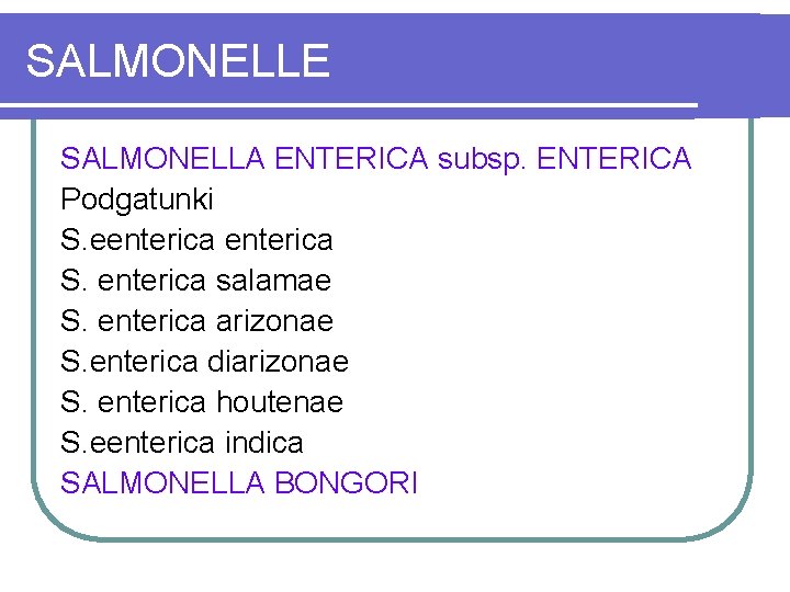 SALMONELLE SALMONELLA ENTERICA subsp. ENTERICA Podgatunki S. eenterica S. enterica salamae S. enterica arizonae