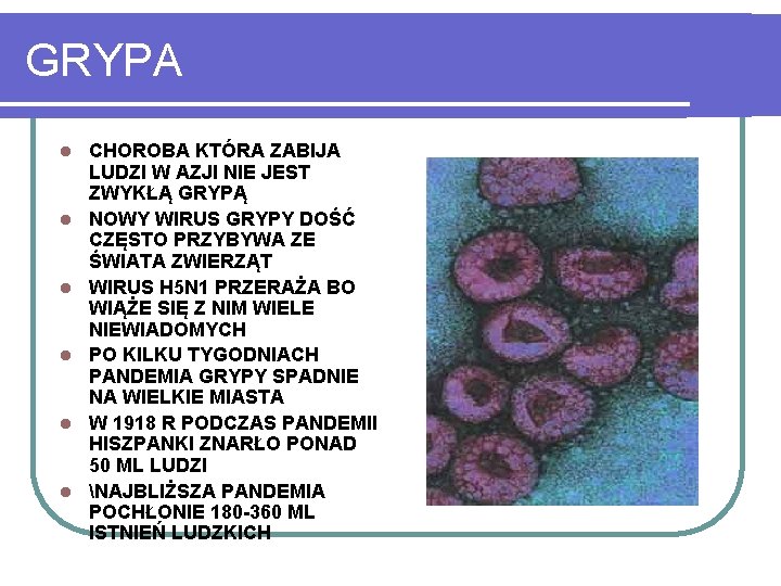 GRYPA l l l CHOROBA KTÓRA ZABIJA LUDZI W AZJI NIE JEST ZWYKŁĄ GRYPĄ
