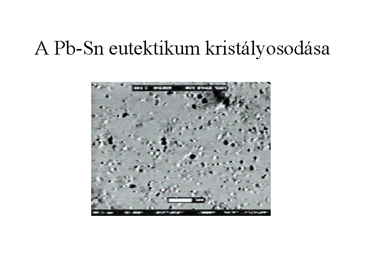 A Pb-Sn eutektikum kristályosodása 