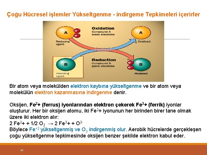 Çoğu Hücresel işlemler Yükseltgenme - indirgeme Tepkimeleri içerirler Bir atom veya molekülden elektron kaybına