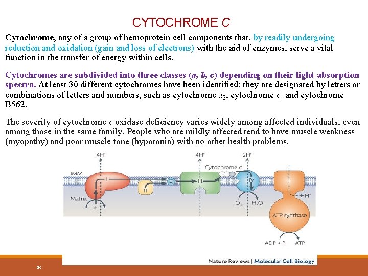 CYTOCHROME C Cytochrome, any of a group of hemoprotein cell components that, by readily