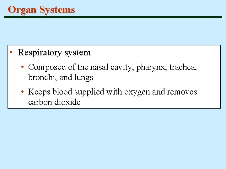Organ Systems • Respiratory system • Composed of the nasal cavity, pharynx, trachea, bronchi,