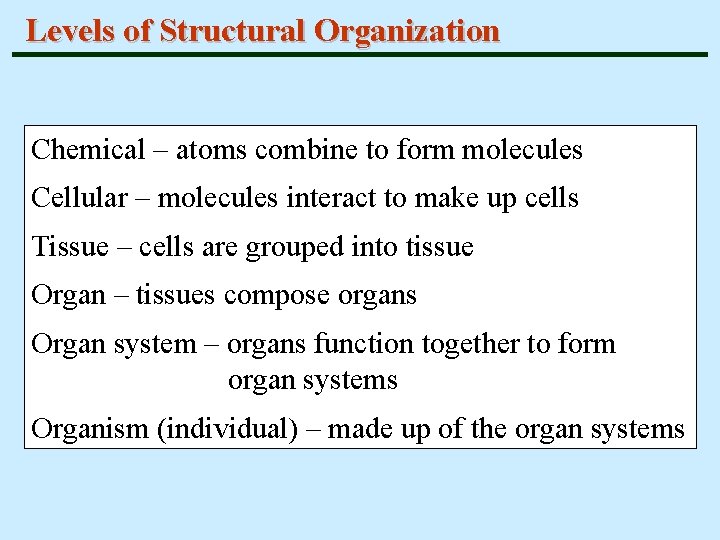 Levels of Structural Organization Chemical – atoms combine to form molecules Cellular – molecules