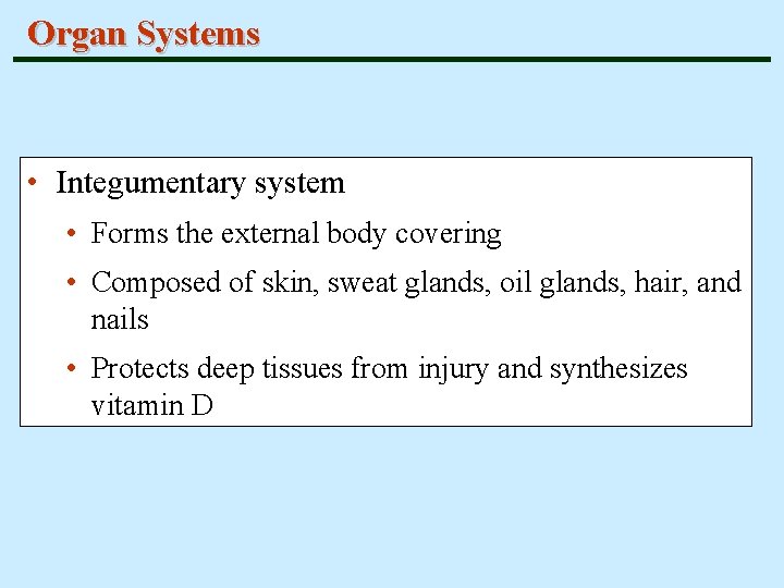 Organ Systems • Integumentary system • Forms the external body covering • Composed of
