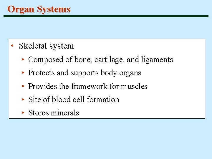 Organ Systems • Skeletal system • Composed of bone, cartilage, and ligaments • Protects