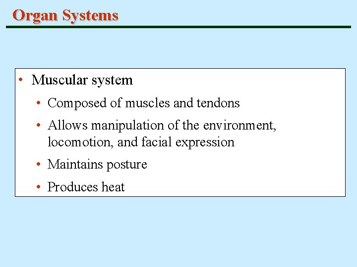 Organ Systems • Muscular system • Composed of muscles and tendons • Allows manipulation