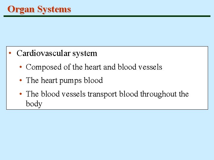 Organ Systems • Cardiovascular system • Composed of the heart and blood vessels •