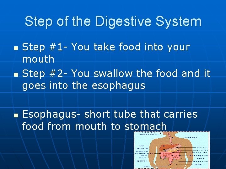 Step of the Digestive System n n n Step #1 - You take food