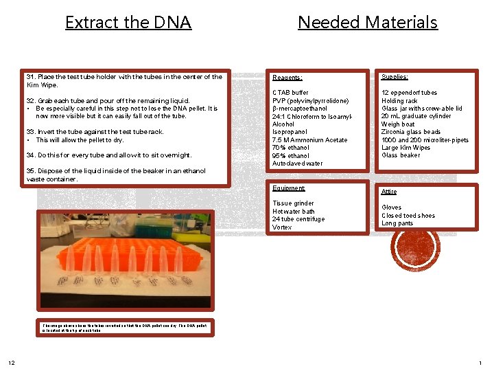 Extract the DNA 31. Place the test tube holder with the tubes in the