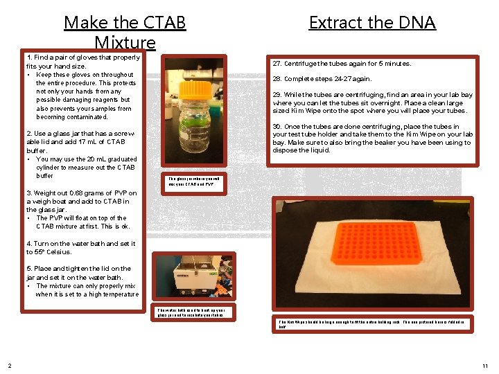 Make the CTAB Mixture 1. Find a pair of gloves that properly fits your