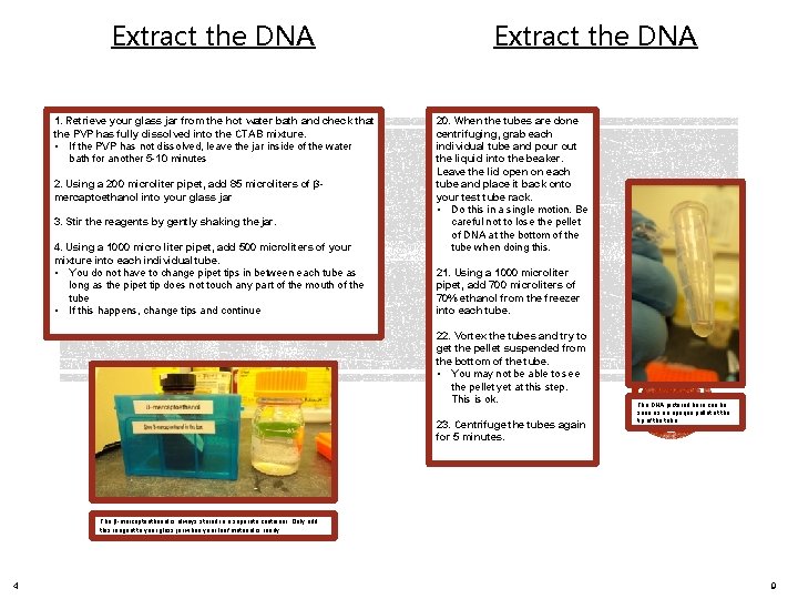 Extract the DNA 1. Retrieve your glass jar from the hot water bath and