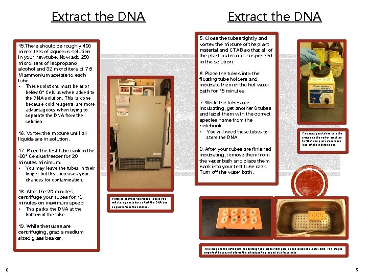 Extract the DNA 5. Close the tubes tightly and vortex the mixture of the