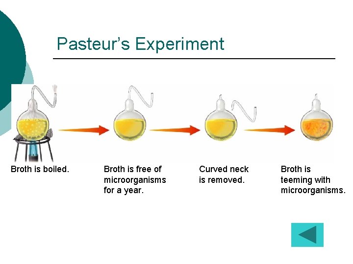 Pasteur’s Experiment Broth is boiled. Broth is free of microorganisms for a year. Curved
