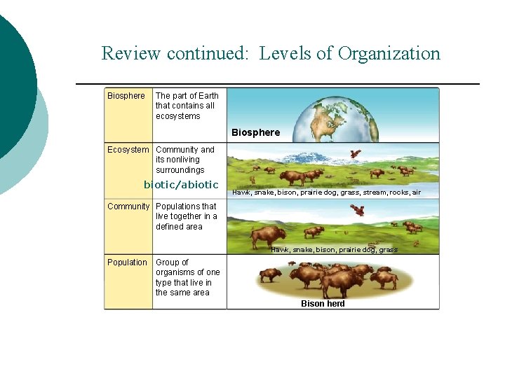 Review continued: Levels of Organization Section 1 -3 Figure 1 -21 Levels of Organization