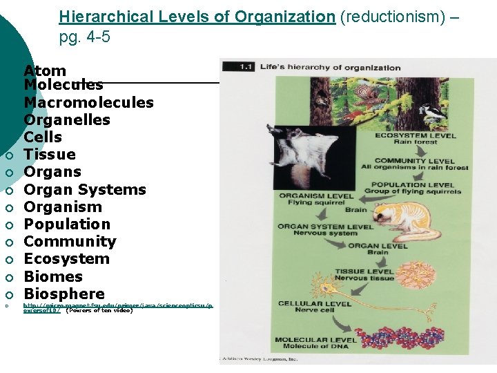 Hierarchical Levels of Organization (reductionism) – pg. 4 -5 ¡ ¡ ¡ ¡ Atom