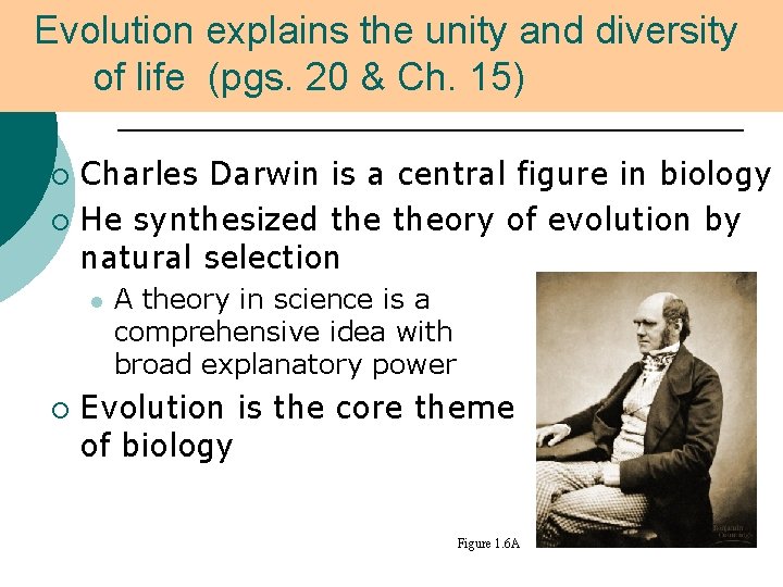 Evolution explains the unity and diversity of life (pgs. 20 & Ch. 15) Charles