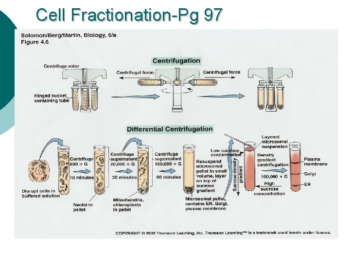 Cell Fractionation-Pg 97 