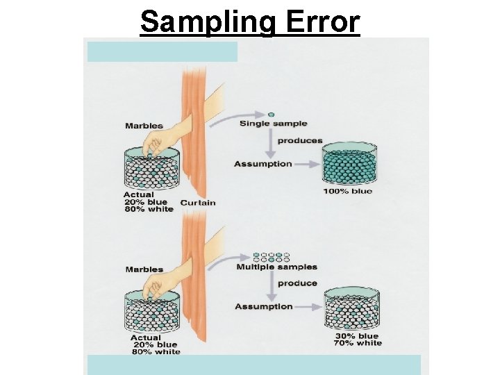 Sampling Error 