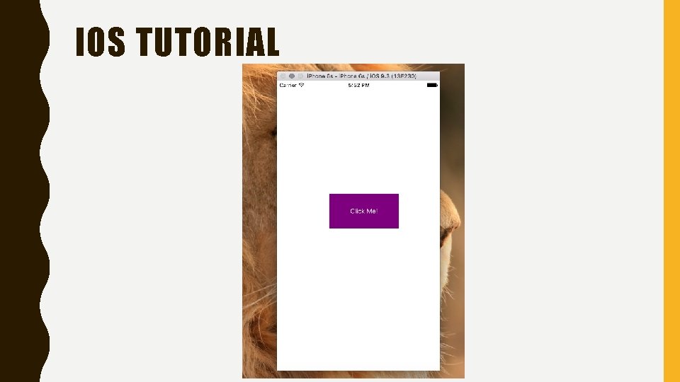 IOS TUTORIAL 