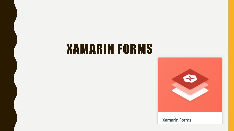 XAMARIN FORMS 