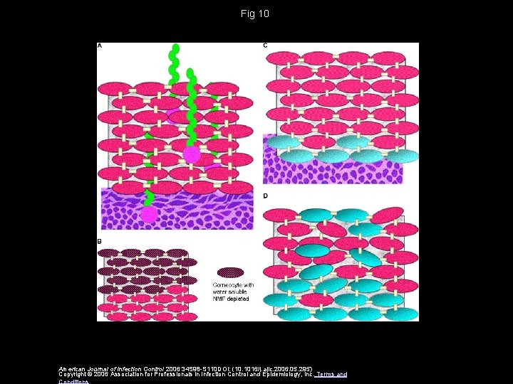 Fig 10 American Journal of Infection Control 2006 34 S 98 -S 110 DOI: