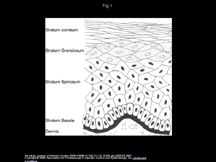 Fig 1 American Journal of Infection Control 2006 34 S 98 -S 110 DOI: