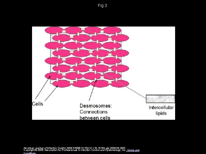 Fig 3 American Journal of Infection Control 2006 34 S 98 -S 110 DOI: