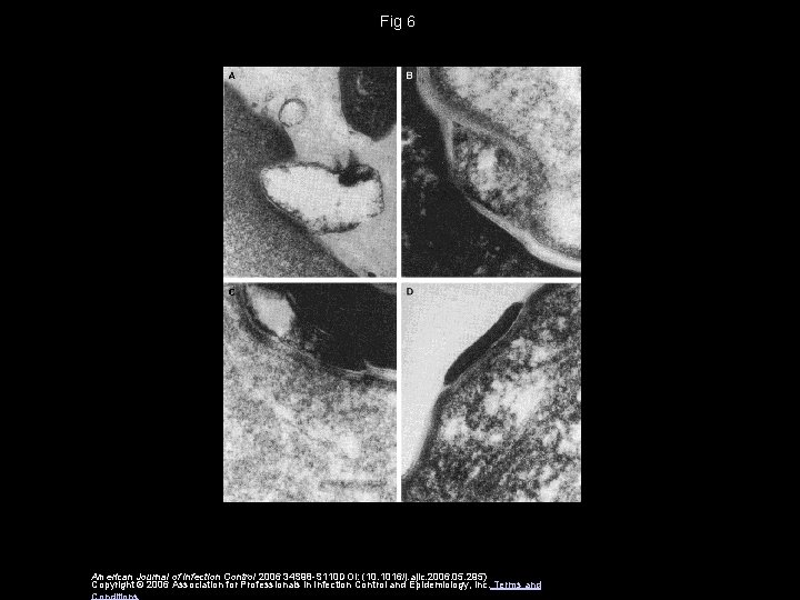 Fig 6 American Journal of Infection Control 2006 34 S 98 -S 110 DOI: