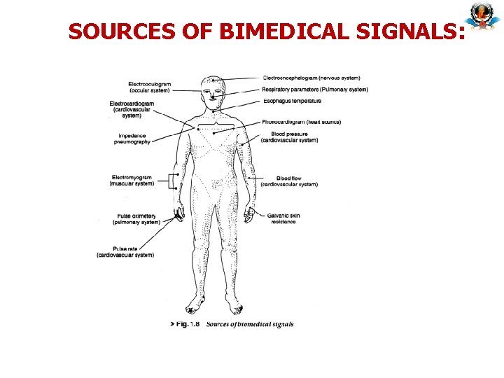 SOURCES OF BIMEDICAL SIGNALS: 
