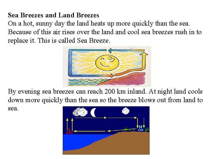 Sea Breezes and Land Breezes On a hot, sunny day the land heats up