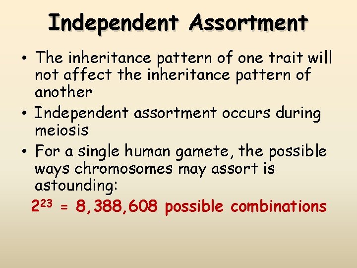 Independent Assortment • The inheritance pattern of one trait will not affect the inheritance
