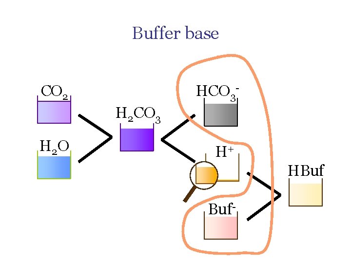 Buffer base HCO 3 - CO 2 H 2 CO 3 H 2 O