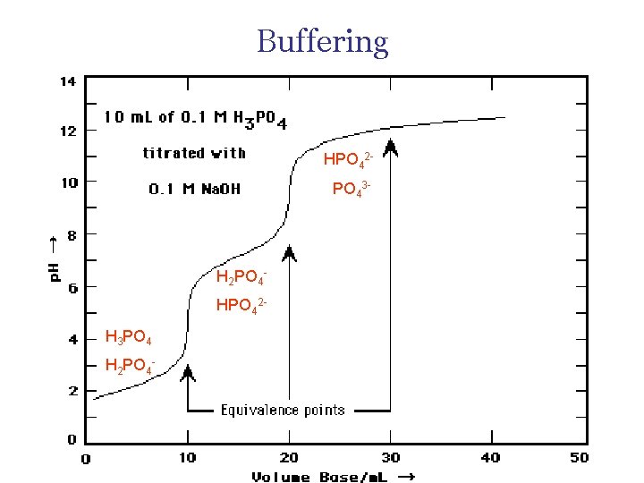 Buffering HPO 42 PO 43 - H 2 PO 4 HPO 42 H 3