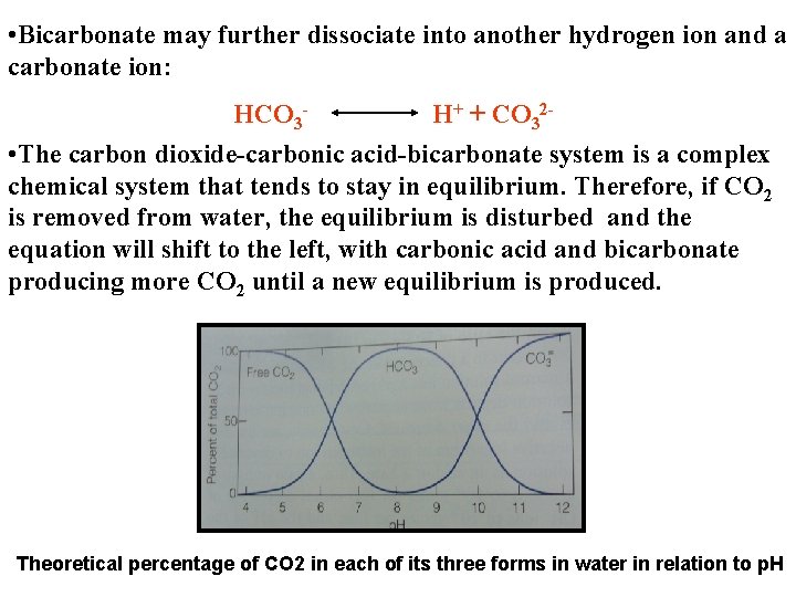  • Bicarbonate may further dissociate into another hydrogen ion and a carbonate ion: