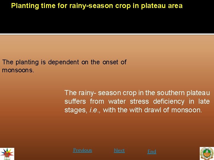 Planting time for rainy-season crop in plateau area The planting is dependent on the