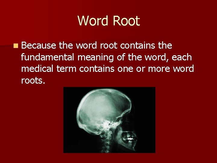 Word Root n Because the word root contains the fundamental meaning of the word,