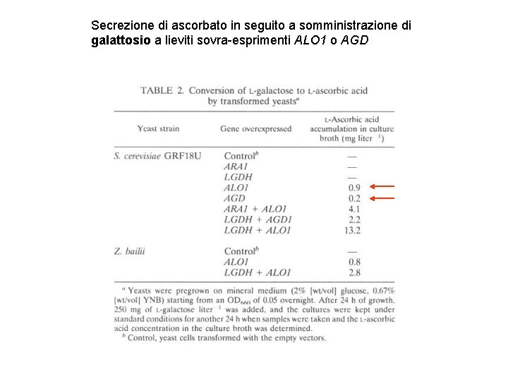 Secrezione di ascorbato in seguito a somministrazione di galattosio a lieviti sovra-esprimenti ALO 1