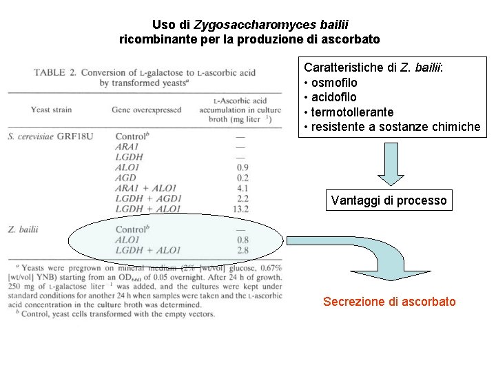 Uso di Zygosaccharomyces bailii ricombinante per la produzione di ascorbato Caratteristiche di Z. bailii: