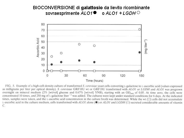 BIOCONVERSIONE di galattosio da lievito ricombinante sovraesprimente ALO 1 o ALO 1 + LGDH