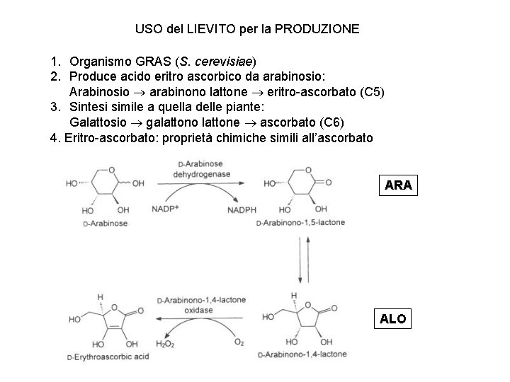 USO del LIEVITO per la PRODUZIONE 1. Organismo GRAS (S. cerevisiae) 2. Produce acido