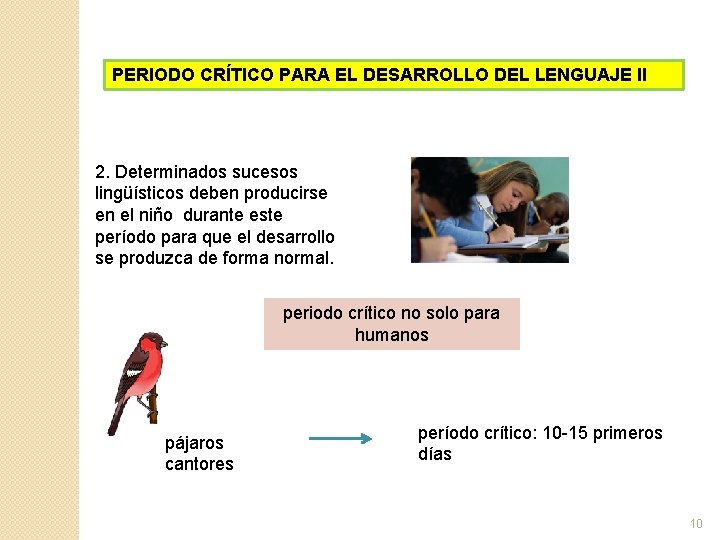 PERIODO CRÍTICO PARA EL DESARROLLO DEL LENGUAJE II 2. Determinados sucesos lingüísticos deben producirse