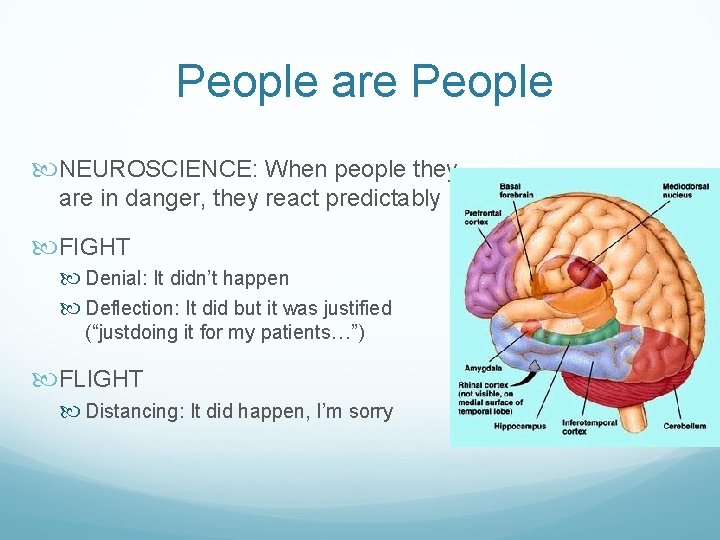 People are People NEUROSCIENCE: When people they are in danger, they react predictably FIGHT