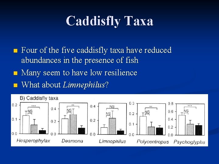 Caddisfly Taxa n n n Four of the five caddisfly taxa have reduced abundances