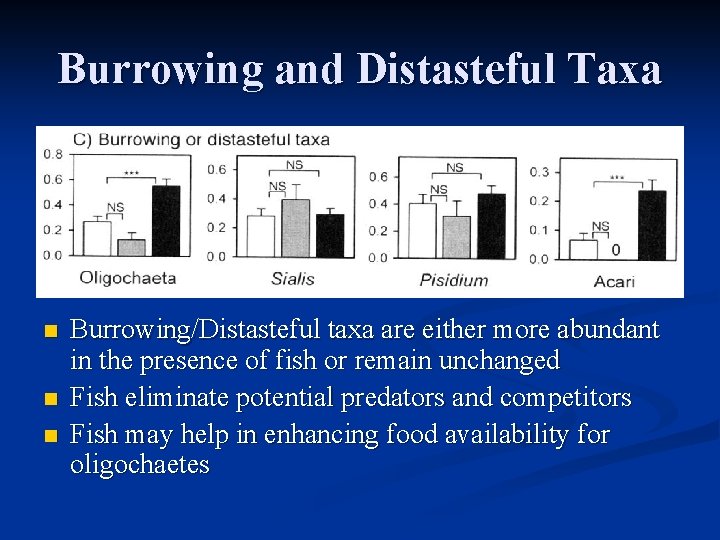 Burrowing and Distasteful Taxa n n n Burrowing/Distasteful taxa are either more abundant in