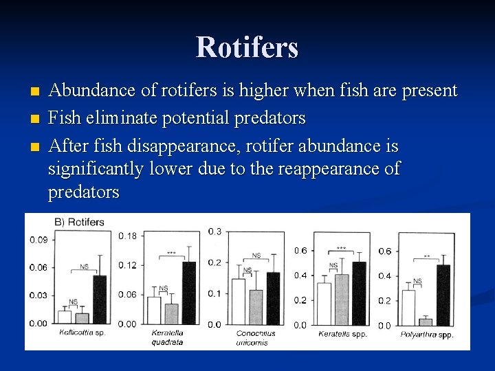 Rotifers n n n Abundance of rotifers is higher when fish are present Fish