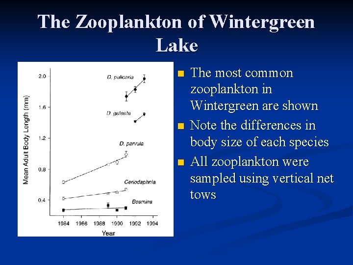 The Zooplankton of Wintergreen Lake n n n The most common zooplankton in Wintergreen