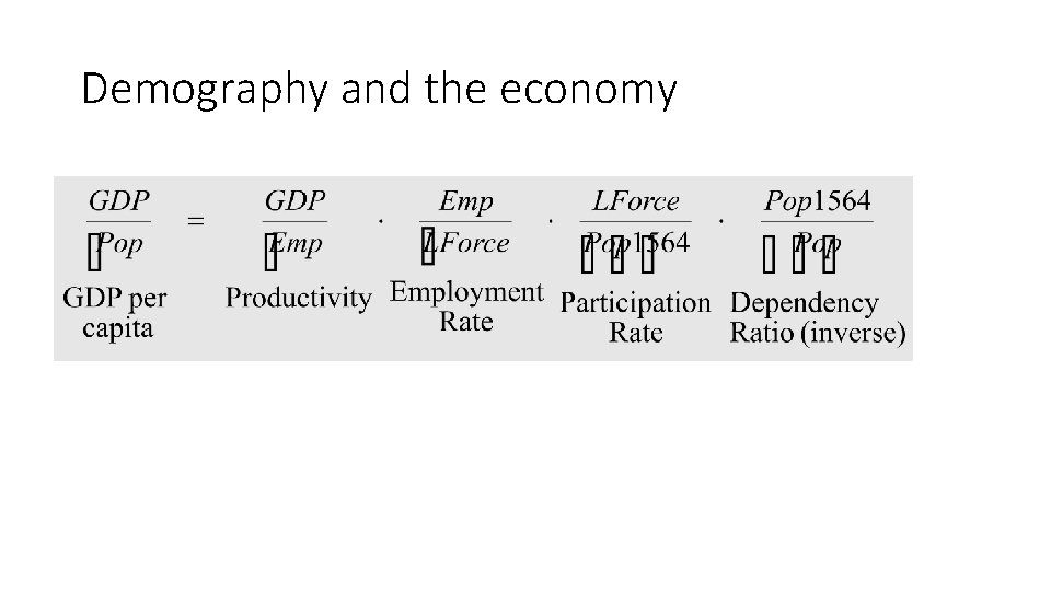 Demography and the economy 