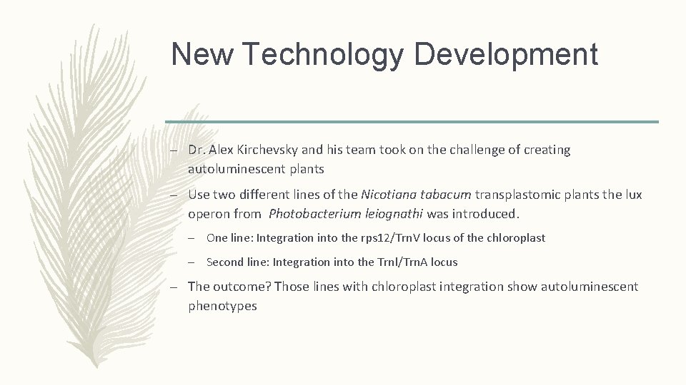 New Technology Development – Dr. Alex Kirchevsky and his team took on the challenge