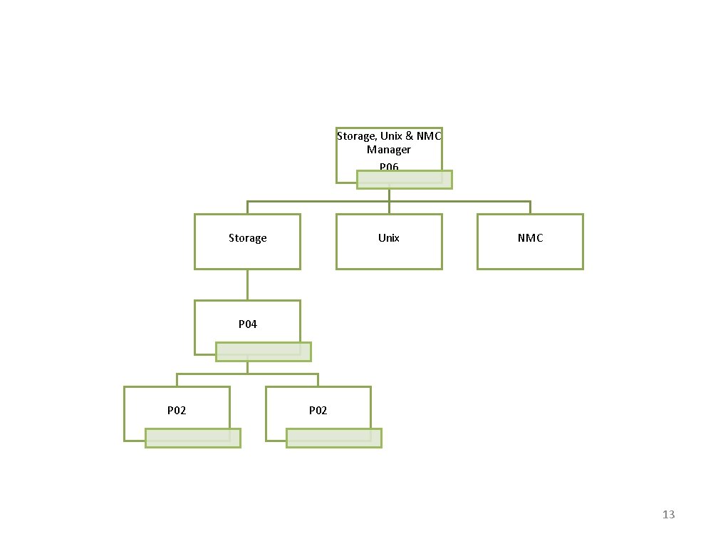 Storage, Unix & NMC Manager P 06 Storage Unix NMC P 04 P 02